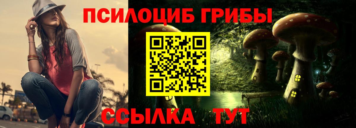 Псилоцибиновые грибы GOLDEN TEACHER  Вход с VPN  купить закладку  Скопин  Галлюциногенные грибы GOLDEN TEACHER 