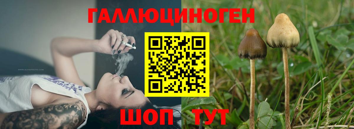 Галлюциногенные грибы MAGIC MUSHROOMS Скопин